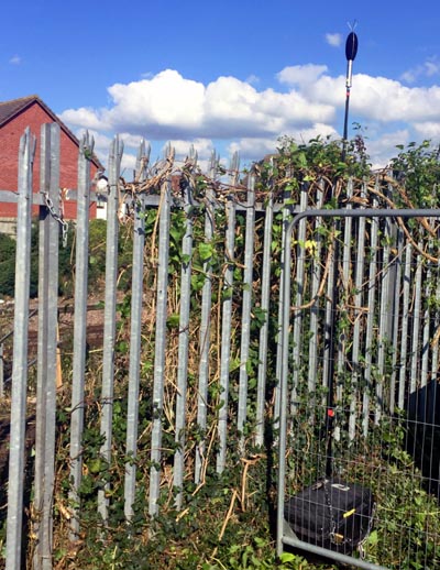 noise logging equipment at a secure location noise logging equipment at a secure location